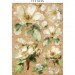 Набор Junk Journal SBJKS02 "All Around" Stamperia, А5